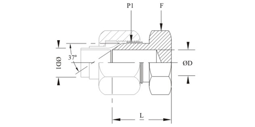 Stainless Steel 37 Degree Flare Tube Cap Fittings Exporter