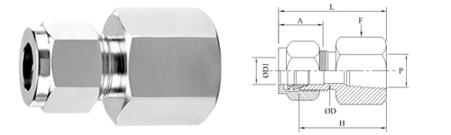 Stainless Steel Double Compression Imperial Female Connector Fitting Exporter Manufacturer