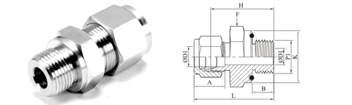 Stainless Steel Double Compression Male Connector ISO Tapered Thread Fitting Exporter Manufacturer
