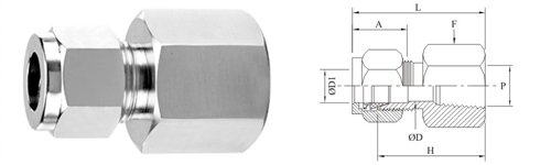 Stainless Steel Double Compression Metric Female Connector Fitting Exporter Manufacturer