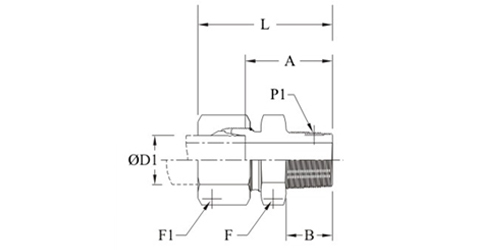 Stainless Steel Hydraulic Male Connector BSP Tapered BSP Parallel Fittings Exporter