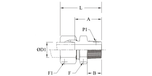Stainless Steel Hydraulic Male Elbow BSP Tapered Metric Fittings Exporter