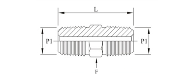 Stainless Steel High Pressure Pipe HEX NIPPLES-10K NPT-NPT Fittings Exporter