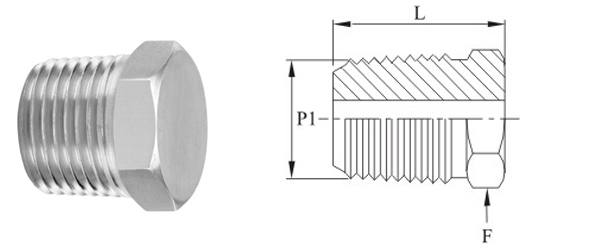 Stainless Steel High Pressure Pipe HEX PLUG-10K NPT Fittings Exporter